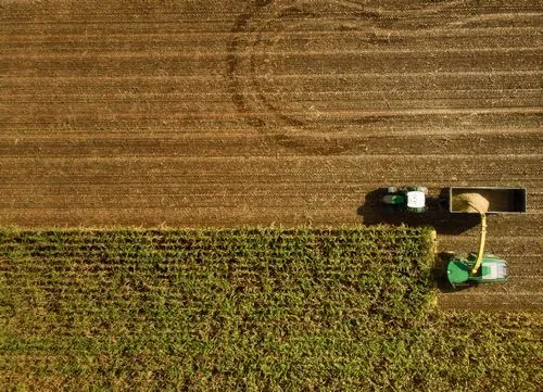 Ambiti di intervento di Sinergo Enterprise: Agricolo